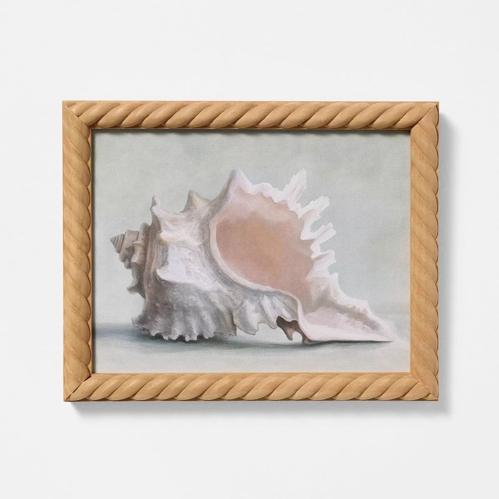 10"x8" Shell Framed Art - Threshold™ designed with Studio McGee